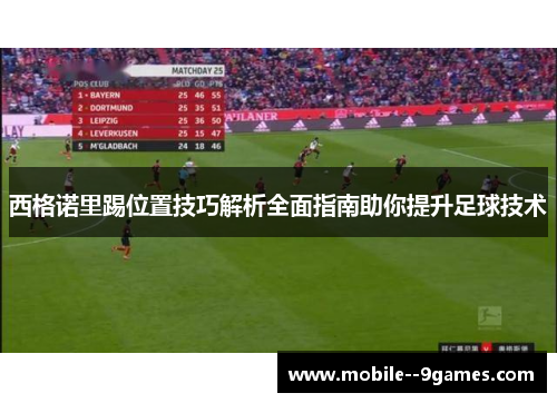 西格诺里踢位置技巧解析全面指南助你提升足球技术