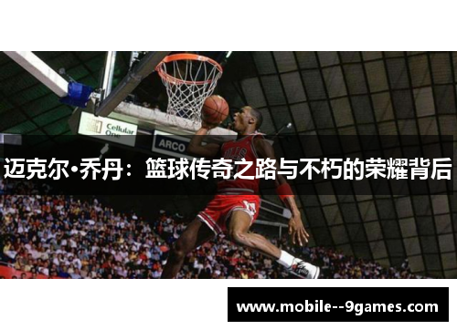 迈克尔·乔丹：篮球传奇之路与不朽的荣耀背后